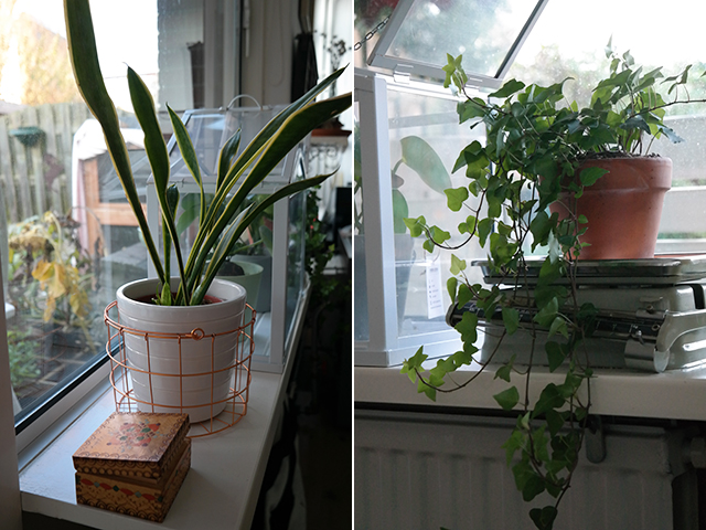 Slaapkamer slaapkamer inrichten met planten ~ beste inspiratie ... Woonkamer planten tafel
