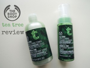 Review: the body shop tea tree
