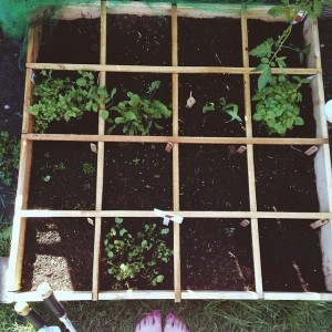 Makkelijke Moestuin