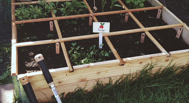 Makkelijke Moestuin