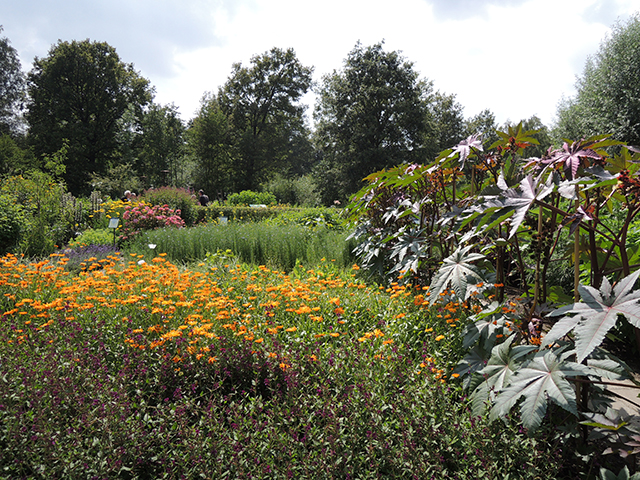 Botanische Tuinen Utrecht