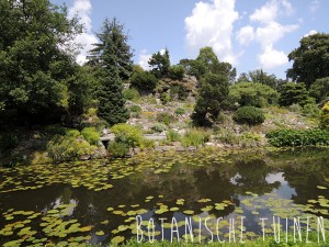 utrecht botanische tuinen