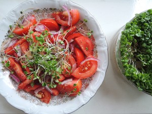 salade met kiemgroente