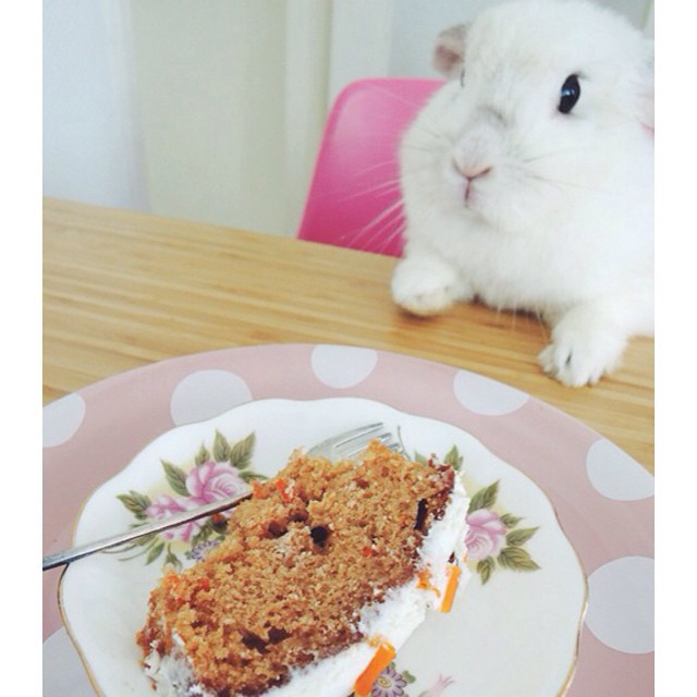bunny von d eet worteltaart