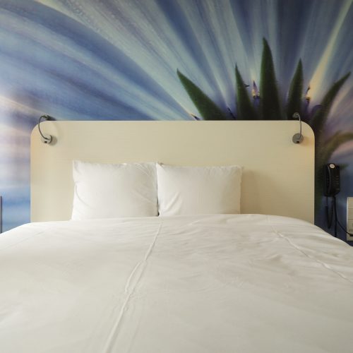 conscious hotel standard room