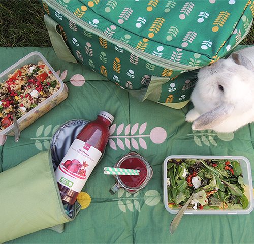picknicken
