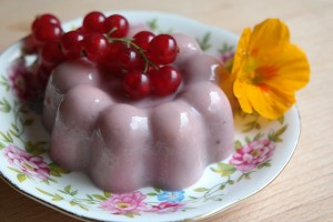 pudding van agar agar