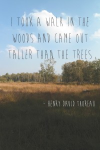 Henry David Thoreau