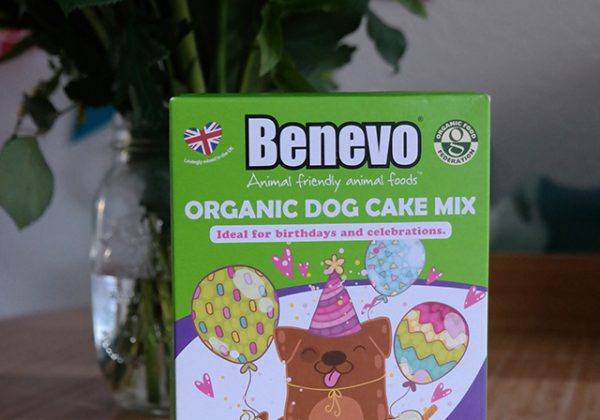 benevo organic dog cake mix