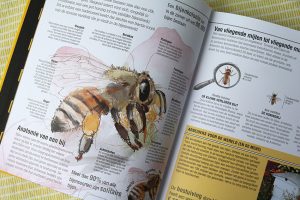 Het Complete Bijenboek - Review