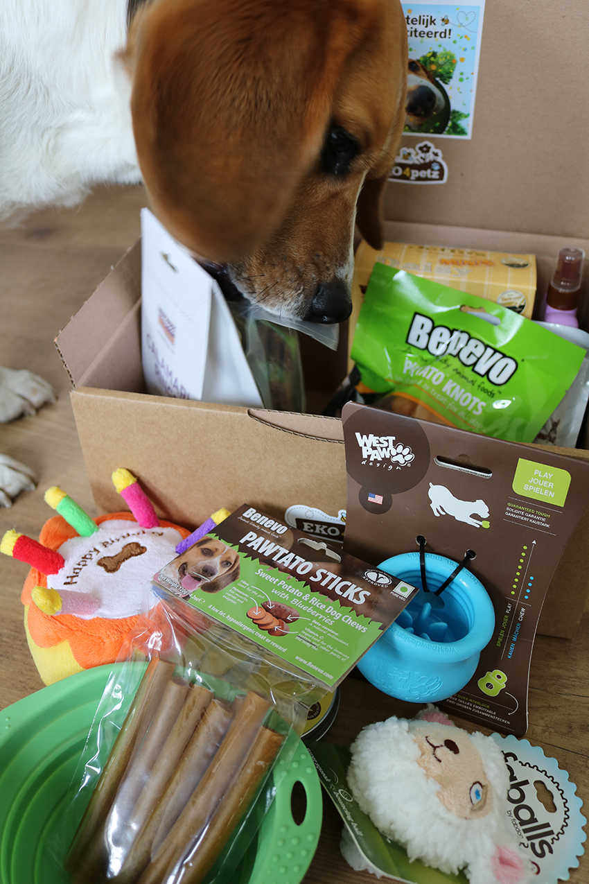 Win een Eko4Petz verrassingsbox voor je huisdier