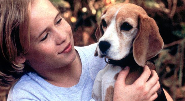 Filmtips: Shiloh